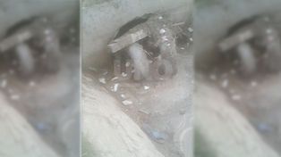 Rincón: denunciaron  obstrucción de desagües en plena jornada de lluvias