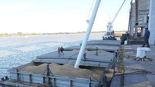El Puerto de Santa Fe embarca otras 8.000 toneladas de soja y ya movilizó más de 110.000 toneladas en lo que va del año