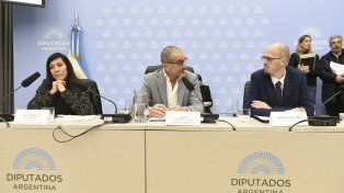 El plenario de las comisiones de Presupuesto y Legislación Penal de la Cámara baja.