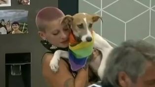 Santiago Del Moro sorprendió a los participantes de Gran Hermano con un adorable nuevo ingreso.&nbsp;