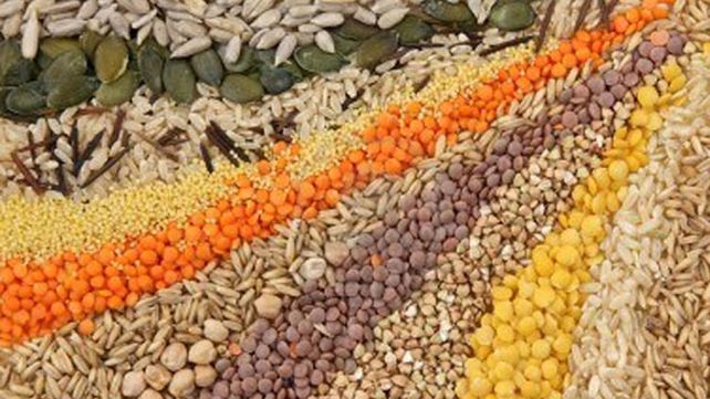 Incorporar semillas a la dieta, ¿una tendencia de consumo saludable?