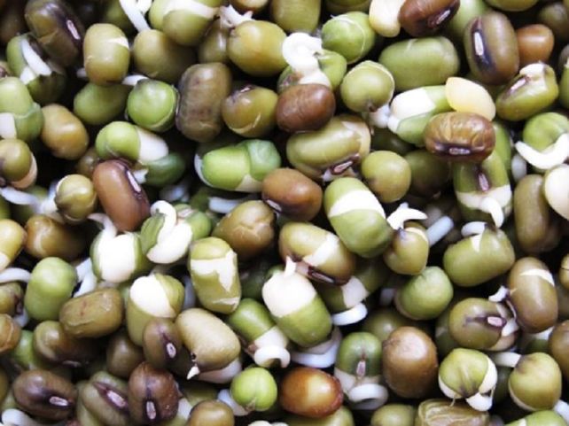 Germinados, brotes y microgreens: los alimentos vivos que marcan tendencia