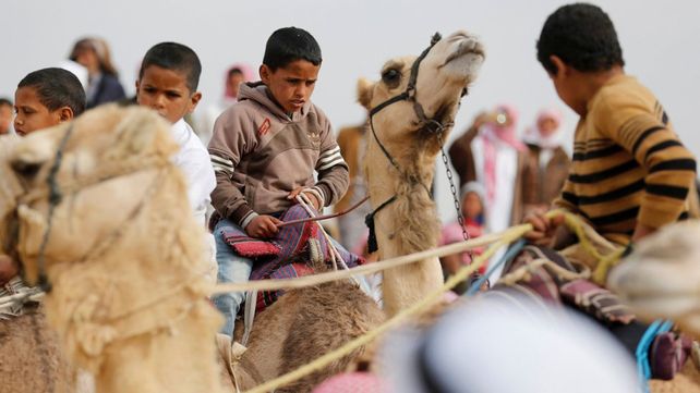 Carreras de camellos en el desierto de Egipto