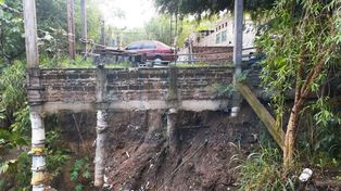 Producto del fuerte viento desatado este lunes cayeron árboles y ramas en distintos puntos de Paraná. Hubo anegamiento de casas y desmoramientos en barrancas