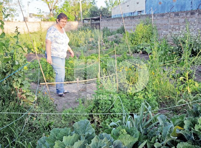 Huertas orgánicas: un modo de vida y un medio de subsistencia