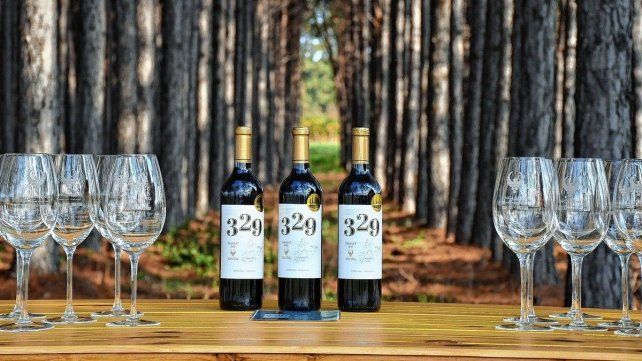 El vino 329 Marselan de Finca Fénix recibió el máximo galardón