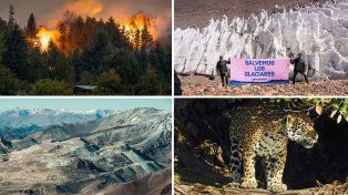 Día Mundial del Ambiente y el desafío para enfrentar el cambio climático
