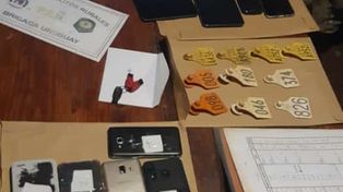 Capataz de estancia involucrado en el robo de 30 novillos