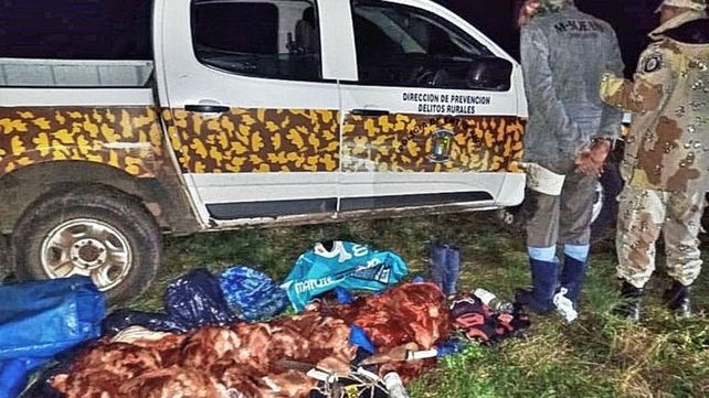 Un sujeto fue detenido cuando pretendía escapar de un procedimiento por el delito de Abigeato. Una funcionaria habría sido quien trasladó a los cuatreros