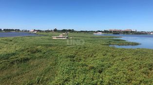 En los próximos días habrá anuncio oficial sobre la remoción del embalsado de la Laguna Setúbal.