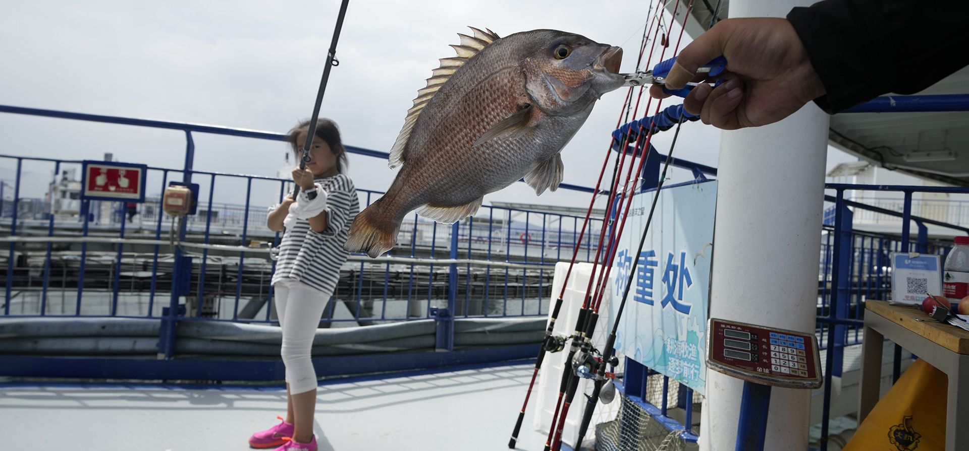 Un niño sostiene una caña de pescar con una dorada pescada en un corral de cría en la instalación número 1 de Genghai a lo largo de la costa de Yantai, en la provincia de Shandong, en el este de China. (Foto AP/Ng Han Guan) Un niño sostiene una caña de pescar con una dorada pescada en un corral de cría en la instalación número 1 de Genghai a lo largo de la costa de Yantai, en la provincia de Shandong, en el este de China. (Foto AP/Ng Han Guan)