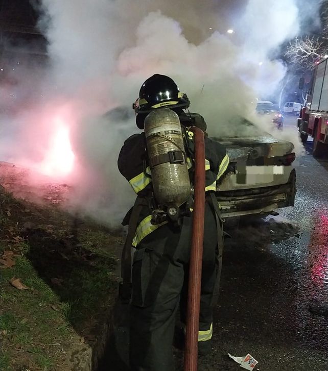 Incendio en zona norte, en el parque Alem. Bomberos Zapadores actuaron para sofocar el fuego que destruyó un Nissan