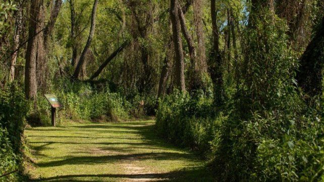 El Museo Serrano invita a conocer los ambientes naturales de Entre Ríos