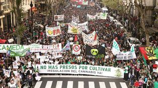 Paraná se plegará a la Marcha Mundial de la Marihuana 2017