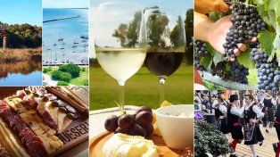 Uruguay es el principal productor de Tannat y el primer país en desarrollar vinos elaborados 100% con esa uva.