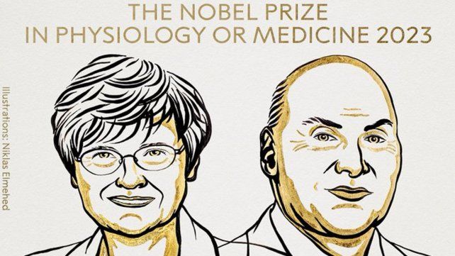 La bioquímica húngara Katalin Karikó y el investigador estadounidense Drew Weissman ganaron hoy el Premio Nobel de Medicina