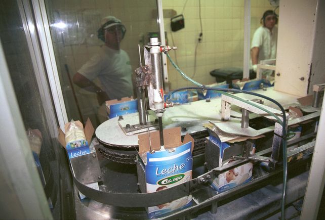 En 2006 Cotapa produciendo. Foto UNO Juan Ignacio Pereira. &nbsp;