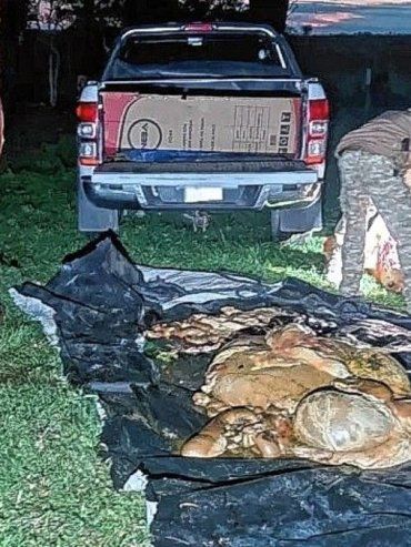 Un hombre fue detenido en Colón por abigeato en flagrancia