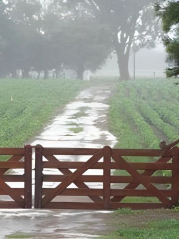 Llegaron algunas lluvias y una parte de la región núcleo festeja