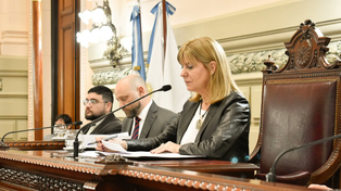 La vicegobernadora Alejandra Rodenas convocó a una reunión en el Senado