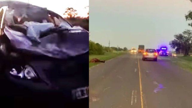 Un auto chocó un caballo en la Ruta 12 y cinco personas resultaron ilesas