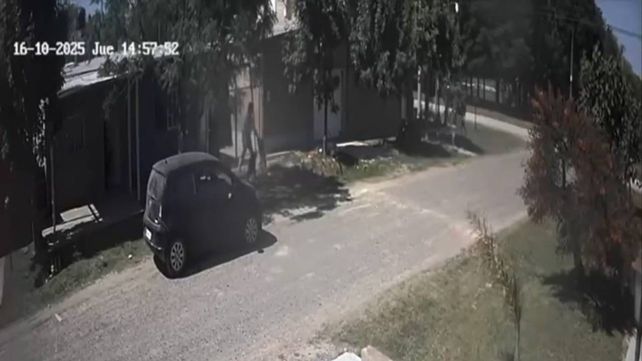 Captura de pantalla del ataque a un perro registrado en las calles de Sauce Viejo. Captura de pantalla del ataque a un perro registrado en las calles de Sauce Viejo.