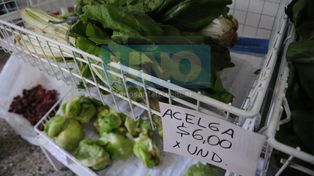 Tras las heladas y faltante, subió el precio de la verdura de hoja en la ciudad
