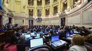 ATN: sesiona el Senado para rechazar el veto