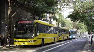 Además de los coches nuevos, Rosario Bus incorporará unidades más modernas que las que tiene en uso.