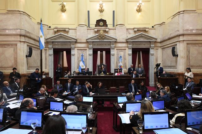 El Senado nacional comenzó a debatir la suspensión de las elecciones Primarias