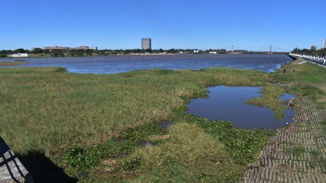 Se consolidó un nuevo embalsado en la laguna Setúbal luego de varias semanas de crecida del río Paraná. Foto: José Busiemi (UNO Santa Fe).