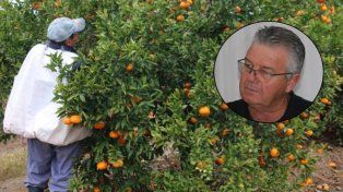 Productor citrícola contra la industria de los juicios: Queremos dormir tranquilos
