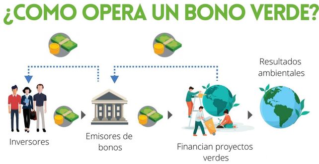 ¿cómo Los Bonos Verdes Llegaron A Catalogarse Como Uno De Los Principales Activos Sustentablesemk 8981