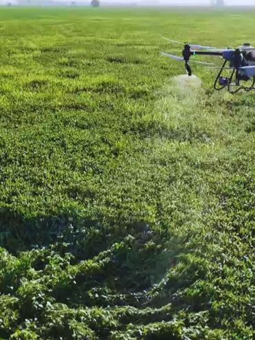 Los drones aplicadores ganan terreno en el agro y amplían las alternativas de manejo de los cultivos