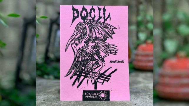 Ana Cornejo presenta Dócil, su nuevo libro de poesía
