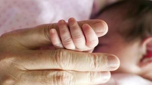 Denunciaron que un cura no quiso bautizar a un bebé gestado por inseminación artificial