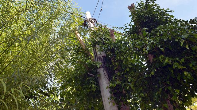 Un operario de una empresa telefónica sufrió un accidente laboral mientras arreglaba cables (Foto ilustrativa de archivo)
