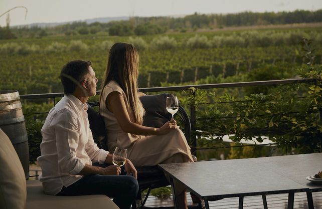 La bodega produce etiquetas que reflejan la identidad del suelo pedregoso y calcáreo.