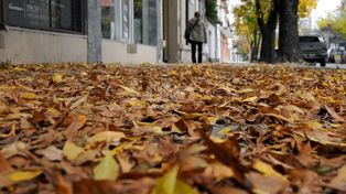 El otoño arrancará este miércoles a la tarde