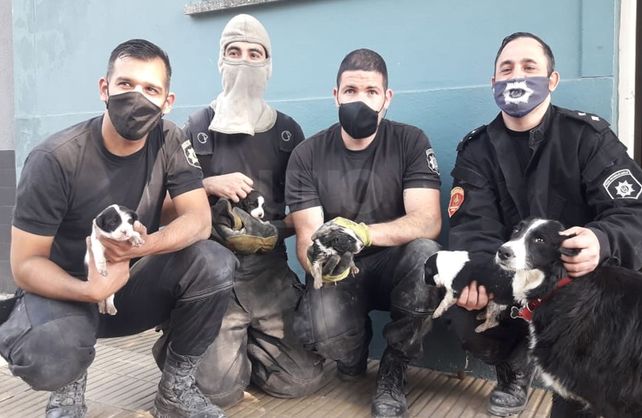 EL personal policial y de los Bomberos Zapadores de la provincia que participaron en le rescate.