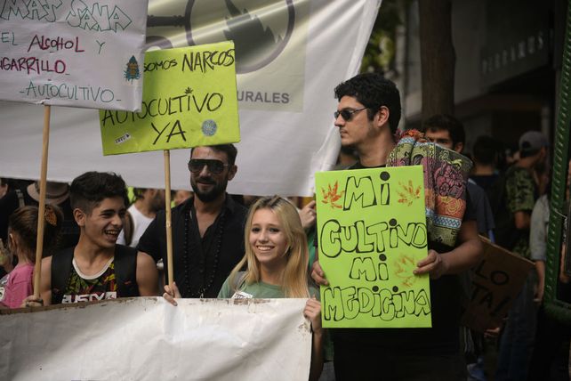 La Secretaría de Salud de la Nación apeló un fallo judicial que autorizaba el uso medicinal del cannabis.