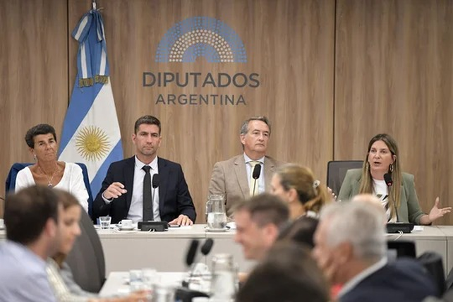 El oficialismo y los bloques dialoguistas firmaron el dictamen de mayoría del proyecto de ley de ficha limpia.