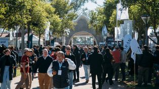 El sector tambero suma financiamiento con créditos atados al valor del novillo