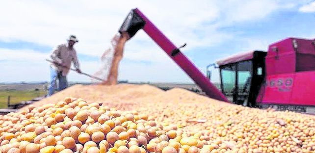 Los productores comienzan a recurrir al mercado de capitales para obtener financiamiento.&nbsp;