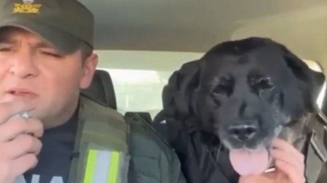 El video viral del retiro de una perra de Gendarmería Nacional que emociona a todos&nbsp;