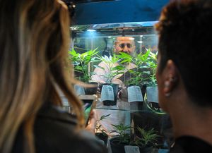 La tercera edición de la Expo Cannabis desbordó La Rural porteña