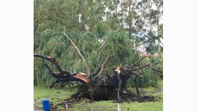 Violenta tormenta en Basavilbaso