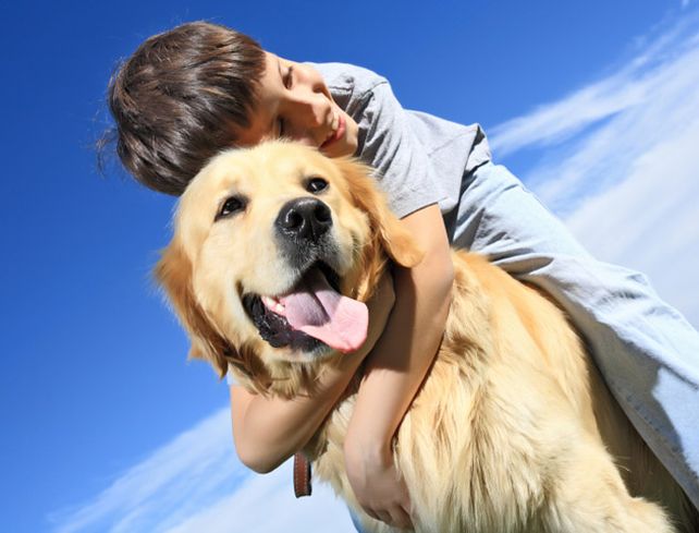 La aplicación funciona como resultado de los movimientos de la cola de los perros.