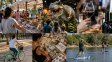 Vacaciones de invierno: Paraná despliega una agenda con ferias y espectáculos