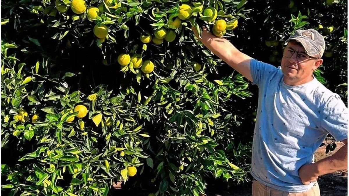 Citricultura: afirman que vender una naranja cuesta más de lo que pagan